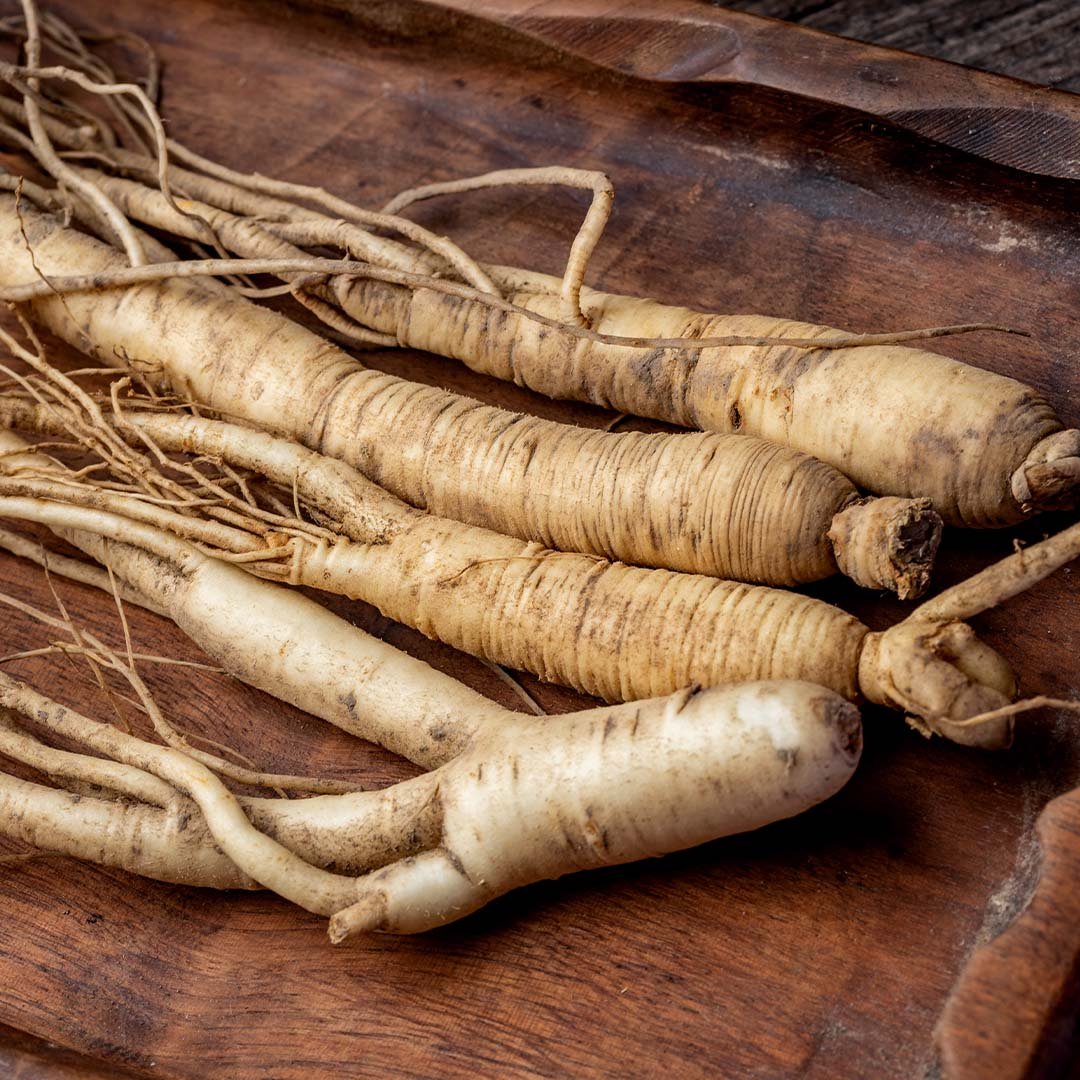 Panax_Ginseng